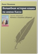 Волшебная история кошки по имени Касси