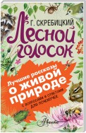 Лесной голосок. С вопросами и ответами для почемучек