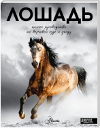 Лошадь. Полное руководство по верховой езде и уходу