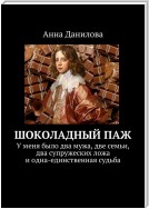 Шоколадный паж. У меня два мужа, две семьи, два супружеских ложа и одна-единственная судьба