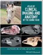 Atlas of Clinical Imaging and Anatomy of the Equine Head