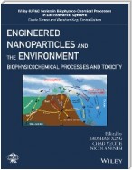 Engineered Nanoparticles and the Environment
