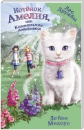 Котёнок Амелия, или Колокольчик-невидимка