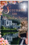 Serenade im Mondschein