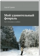 Мой удивительный февраль. Том 5. Остановись и улыбнись