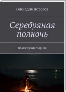 Серебряная полночь. Поэтический сборник