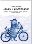 Сашка и Барабашка. О времени, когда слово «гаджеты» писалось в три слова и было ругательством