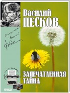 Полное собрание сочинений. Том 13. Запечатленная тайна