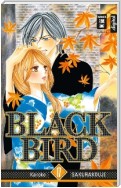 Black Bird 17