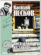 Полное собрание сочинений. Том 18. Посиделки на закате