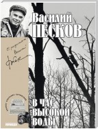 Полное собрание сочинений. Том 16. В час высокой воды