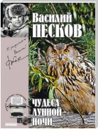 Полное собрание сочинений. Том 15. Чудеса лунной ночи