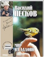 Полное собрание сочинений. Том 21. Мир на ладони