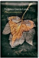 Poesía completa I - Espanol