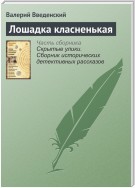 Лошадка класненькая