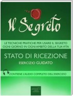 Il Segreto – Stato di ricezione