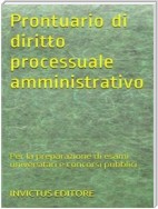 Prontuario di diritto processuale amministrativo