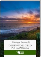 Osservavo il cielo, poi la pioggia