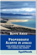 Professione Agente di Viaggi