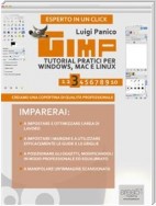 Gimp. Tutorial pratici per Windows, Mac e Linux. Livello 3