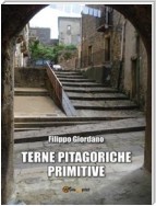 Terne pitagoriche primitive