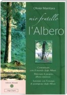 Mio fratello l'Albero