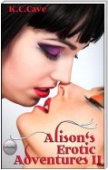Alison's Erotic Adventures II