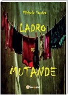 Ladro di mutande