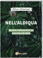 Nell'aldiqua