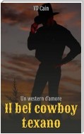 Il Bel Cowboy Texano - Un Western D'amore