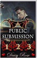 Public Submission 1 - 3