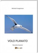 Volo planato. Raccolta di poesie