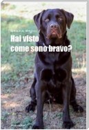 Hai visto come sono bravo?