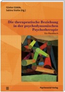 Die therapeutische Beziehung in der psychodynamischen Psychotherapie