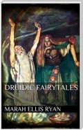 Druidic Fairytales