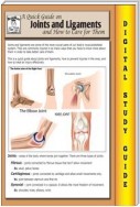 Joints and Ligaments ( Blokehead Easy Study Guide)