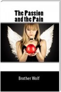 The Passion And The Pain: Dubcon Romance Erotica