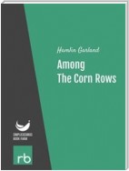 Among The Corn Rows (Audio-eBook)