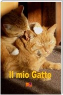 Il mio Gatto