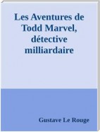 Les Aventures de Todd Marvel, détective milliardaire