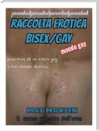 Raccolta Erotica bisex/gay