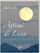 Attimi di Luna