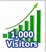 1,000 Visitors in One Month
