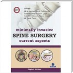 Minimally Invasive Spine Surgery Current Aspects