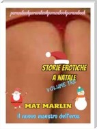 Storie erotiche a Natale volume tre