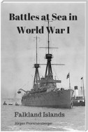 Battles at Sea in World War I - Falkland Islands