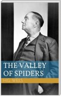 The Valley of Spiders