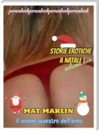 Storie erotiche a Natale volume due