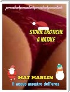 Storie erotiche a Natale  volume uno