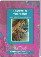 L'uccello turchino